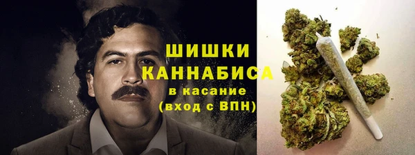 гашик Арсеньев