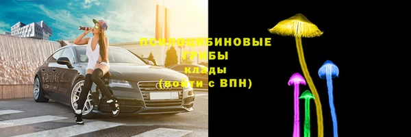 дживик Армянск