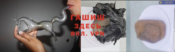 гашик Арсеньев