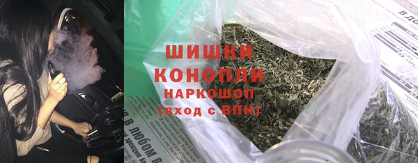 гидра Аркадак
