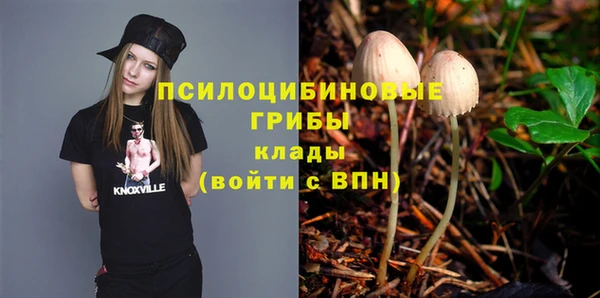 гашик Арсеньев