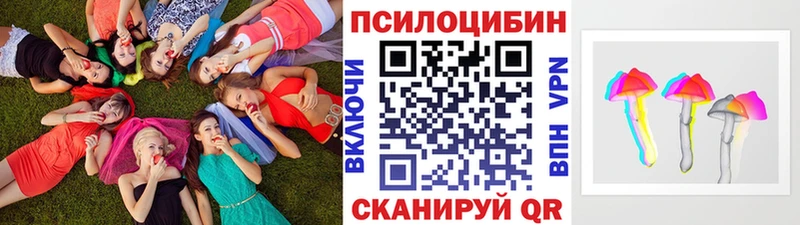 Псилоцибиновые грибы прущие грибы  Северская 