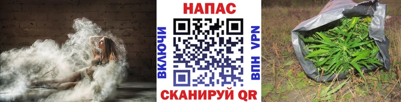 Канабис марихуана Северская